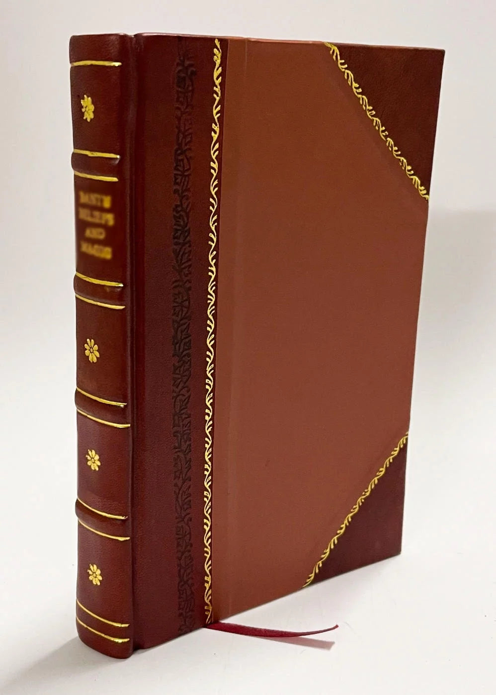 Leather Bound Book Y6254