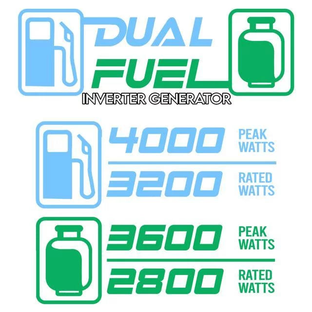 4000W Portable Dual Fuel Generator E2870