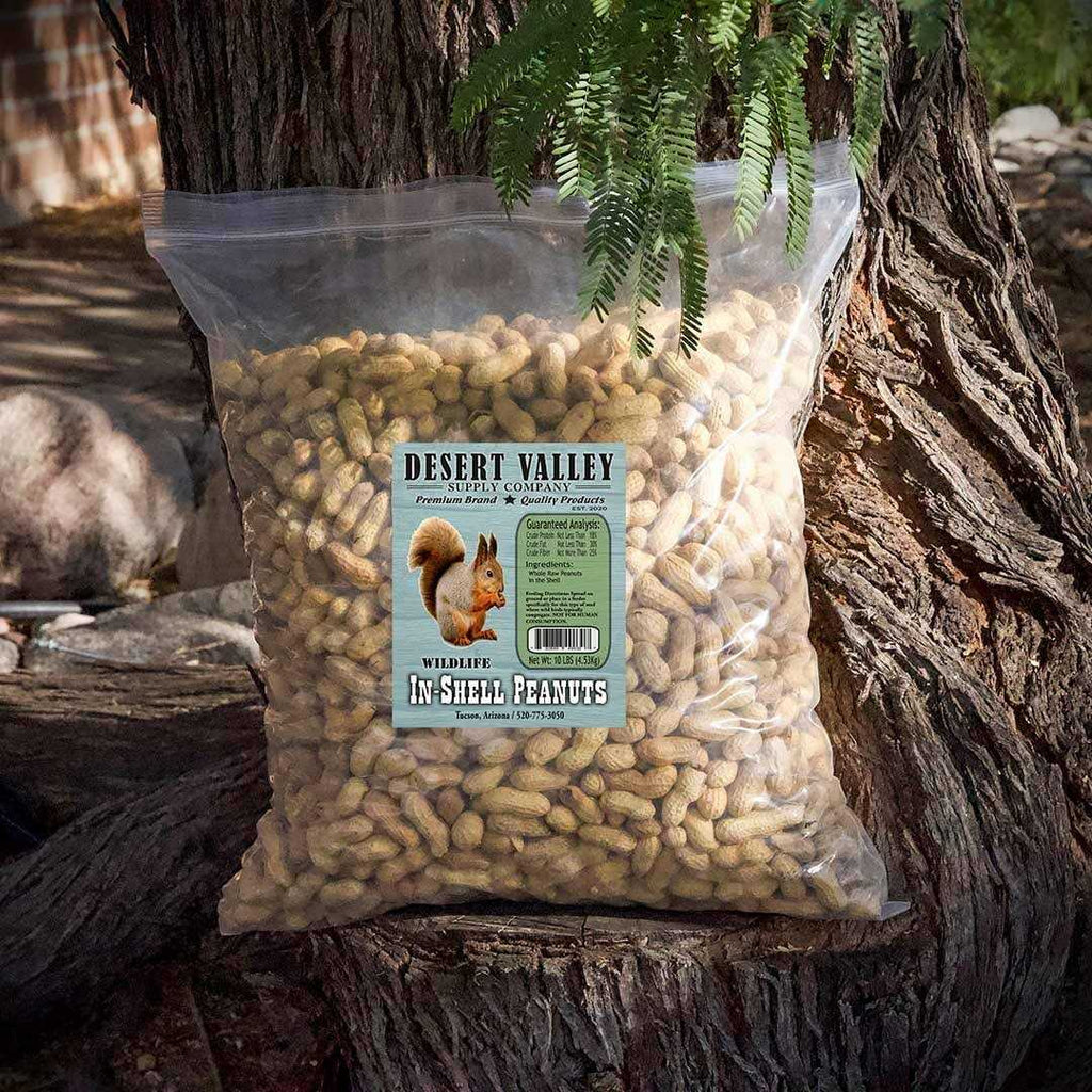 Peanuts in Shell C2284