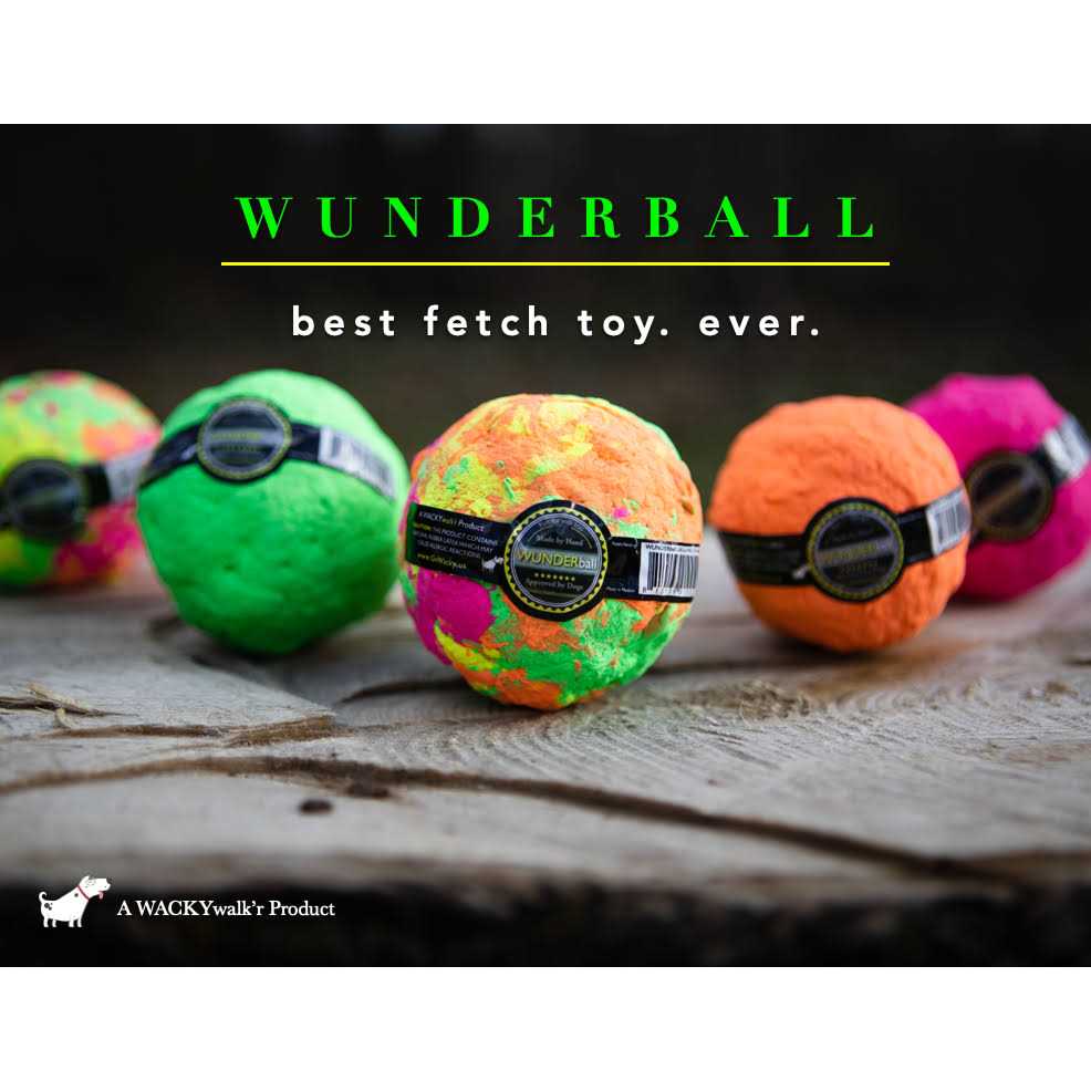 Fetch Dog Toy I683