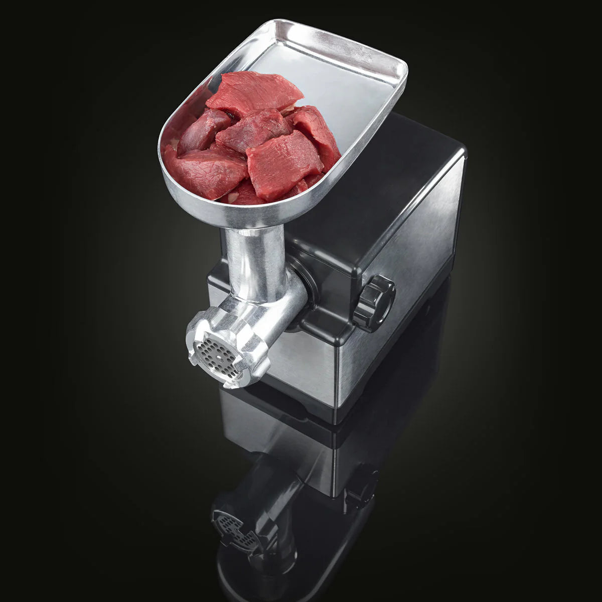 300W Meat Grinder M1794