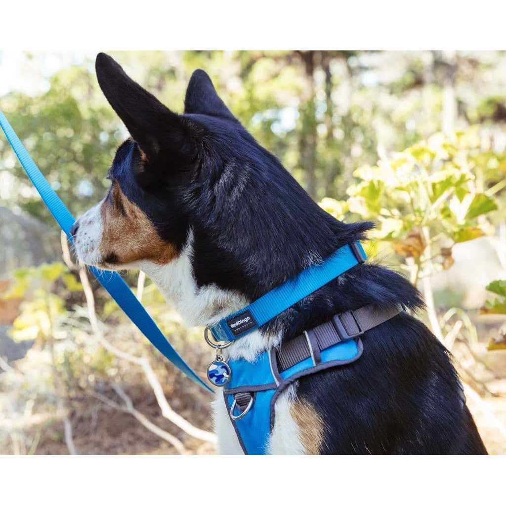 Red Dingo Padded Dog Harness J729272