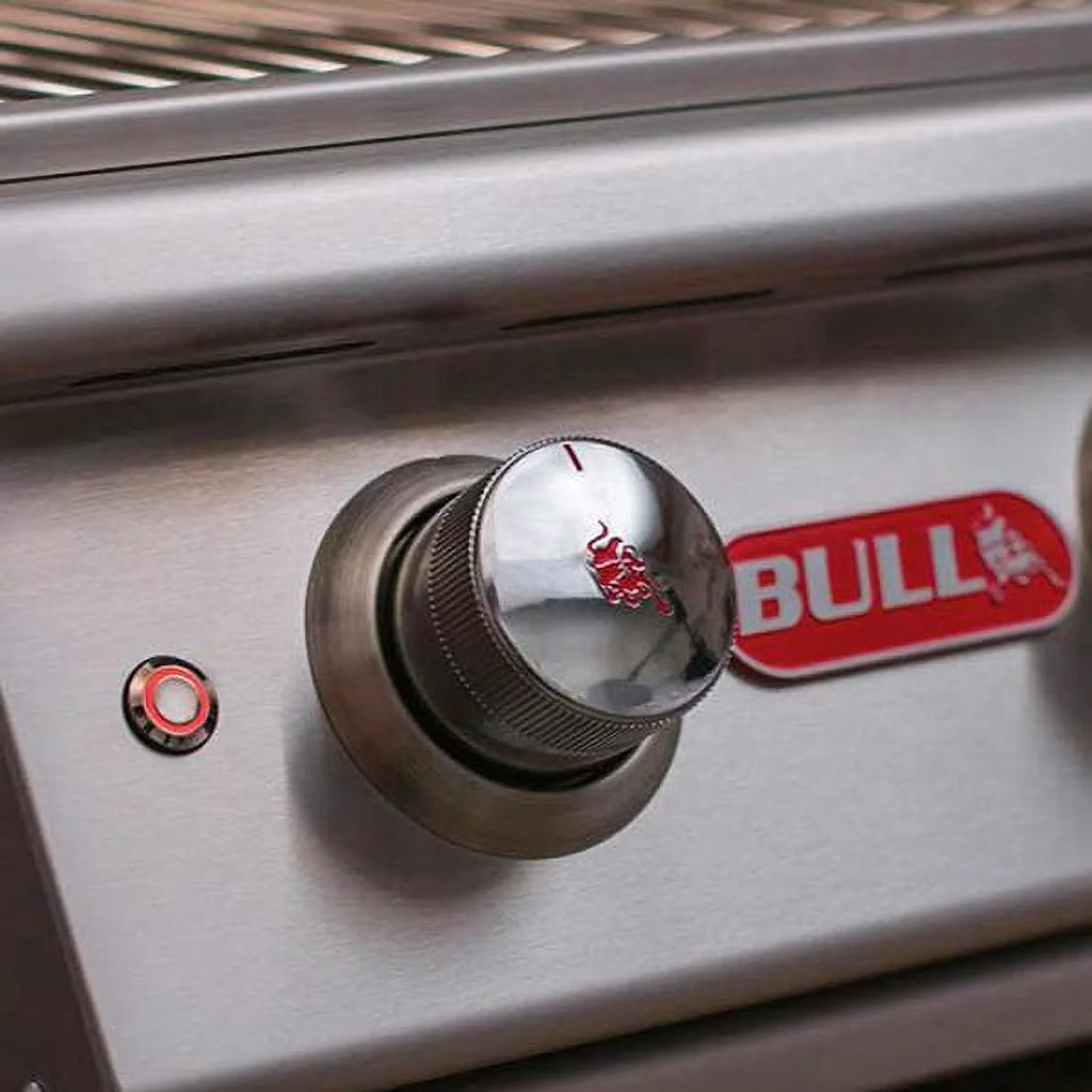 4 Burner Stainless Steel Gas Barbecue Grill E96185