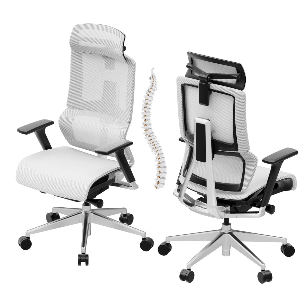 White Ergonomic Office Chair with Lumbar Support Y279722