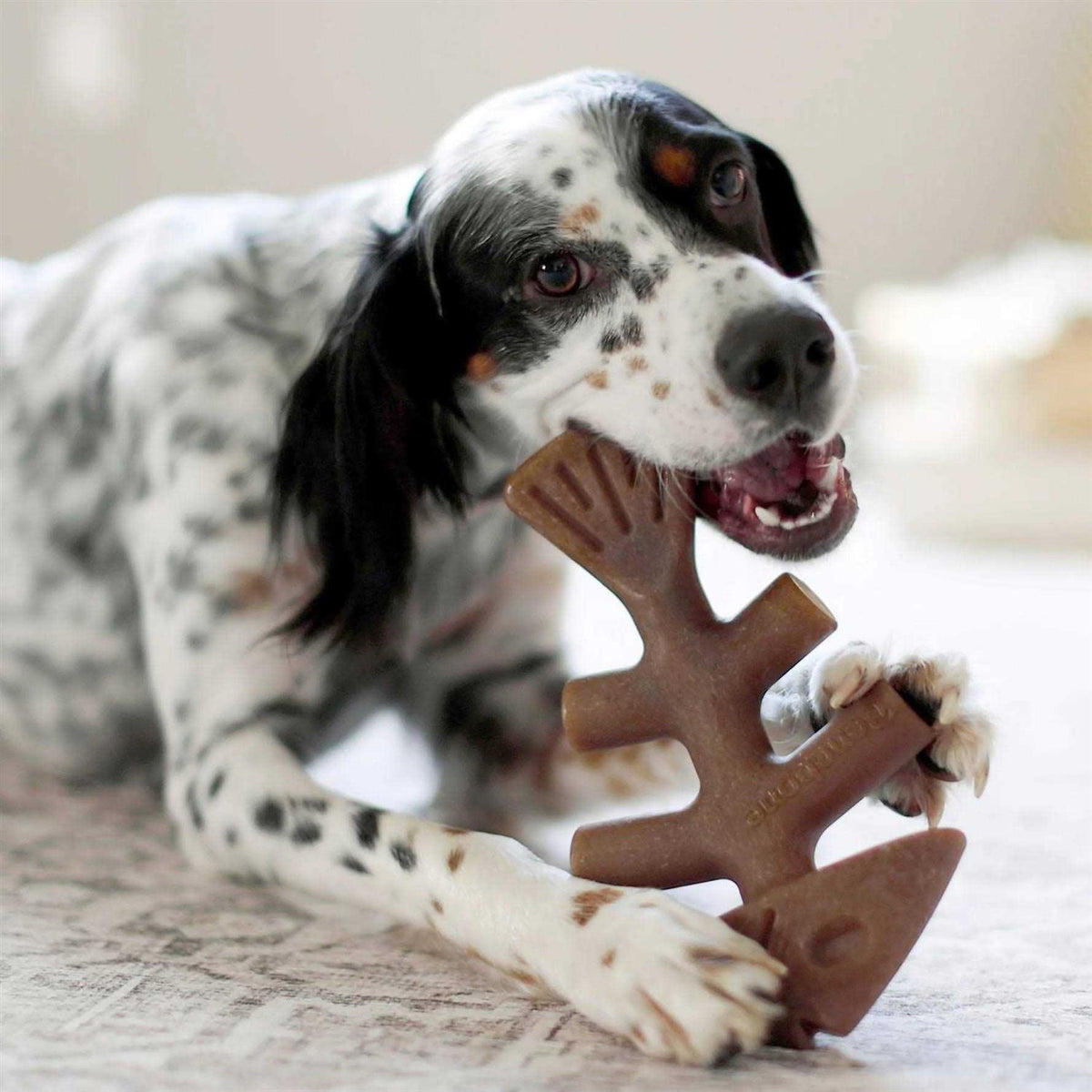 Fishbone Dog Chew Q853