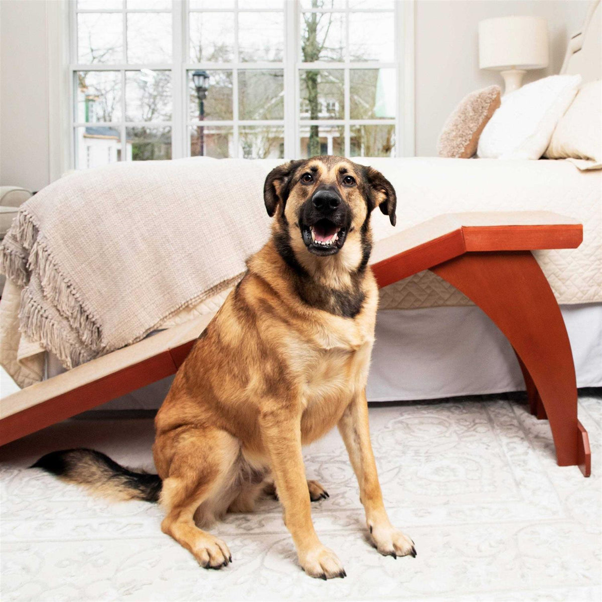 Pet Ramp X805