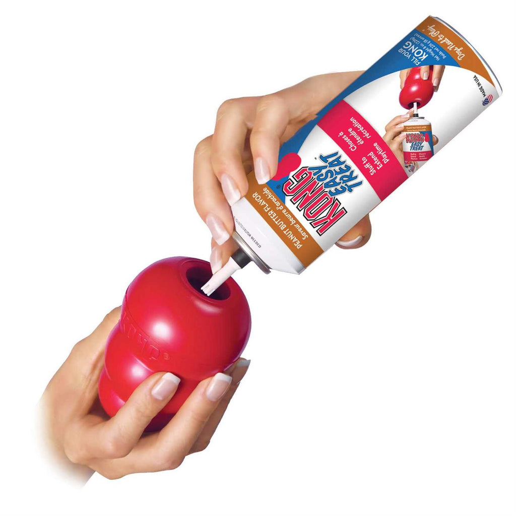 KONG Dog Toy L923150
