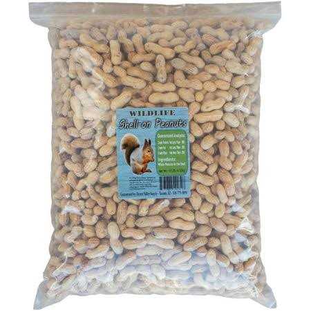 Peanuts in Shell C2284