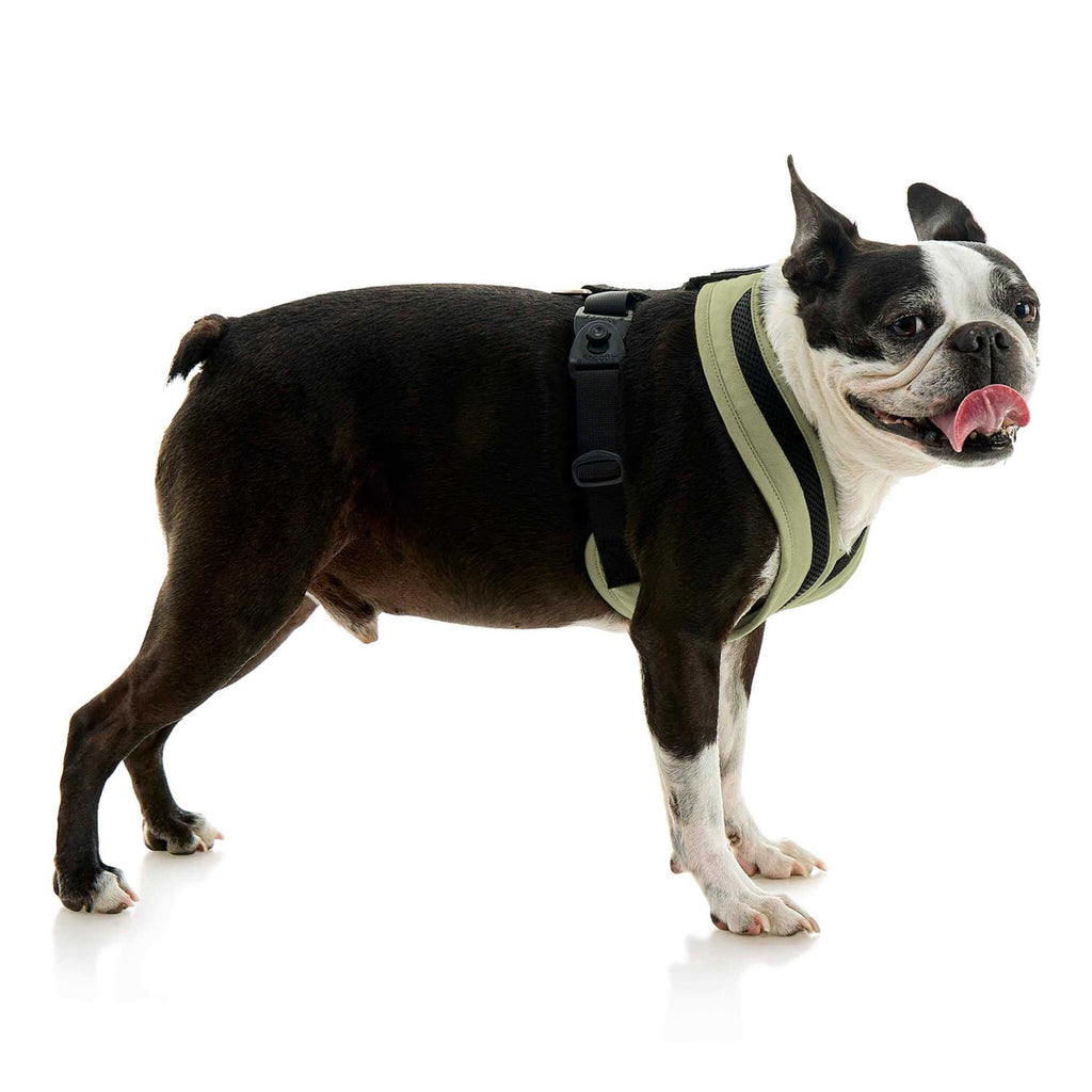 Dog Harness U685