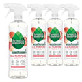 All Purpose Cleaner, Biodegradable Formula, Free & Clear, 23 oz (Pack of 4) K227