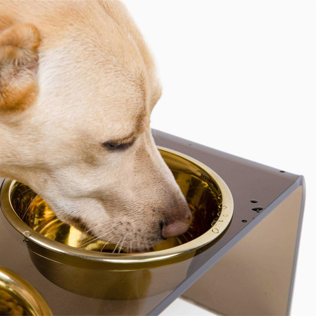Acrylic Double Bowl Elevated Pet Feeder U557