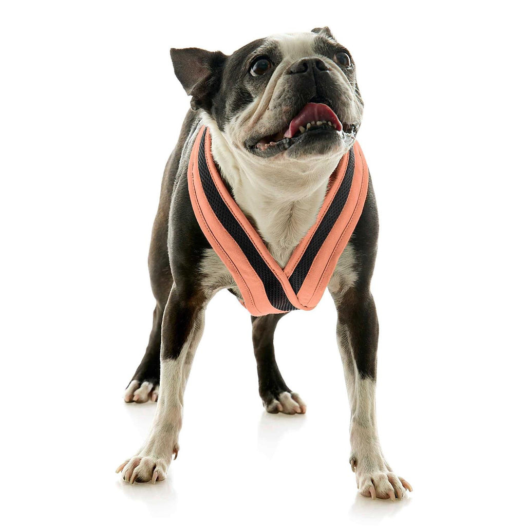 Dog Harness U685