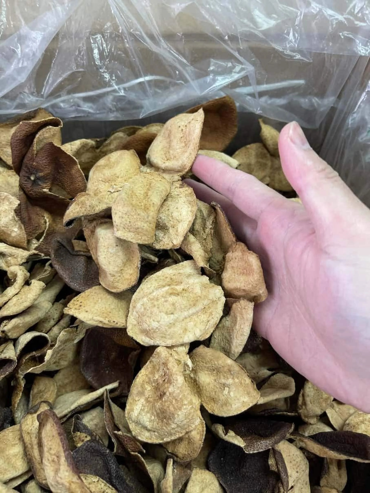 Dried Aged Orange Citrus Peel 200G O8817