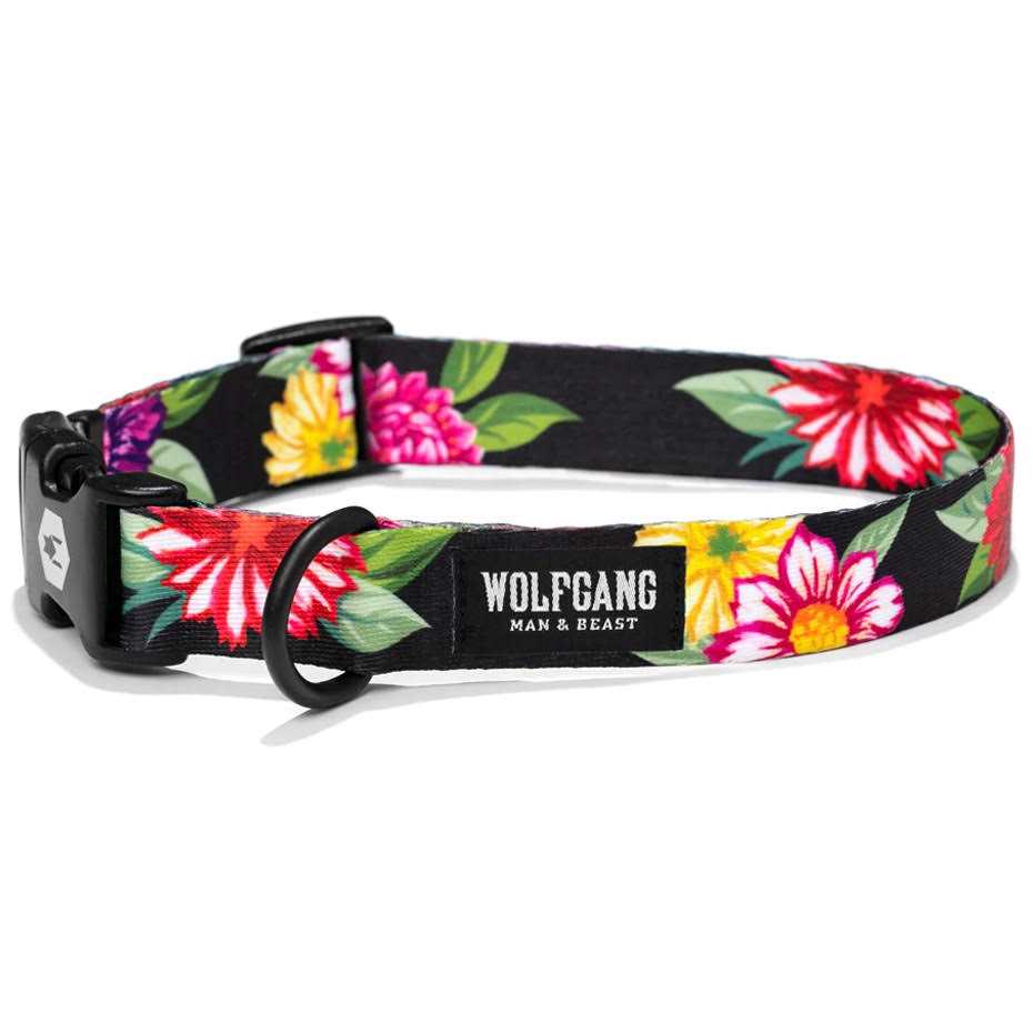 Dog Collar E41165