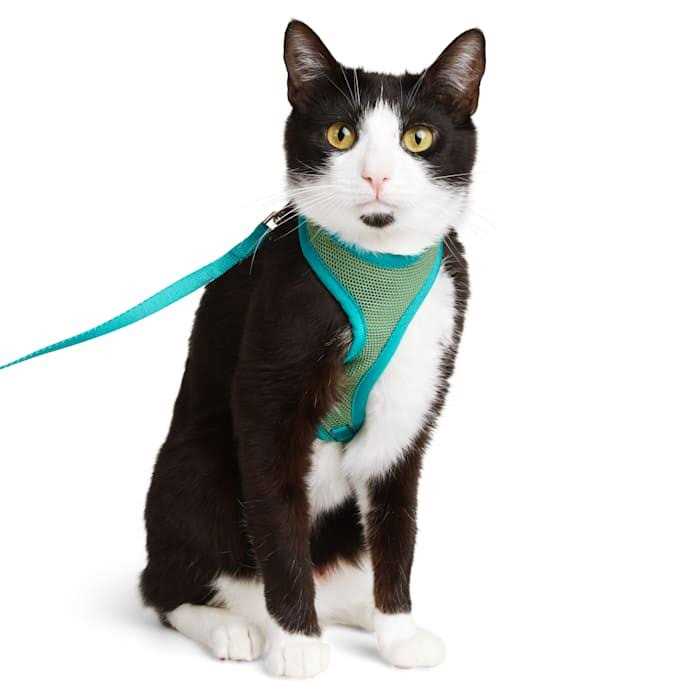 Green Cat Harness J585
