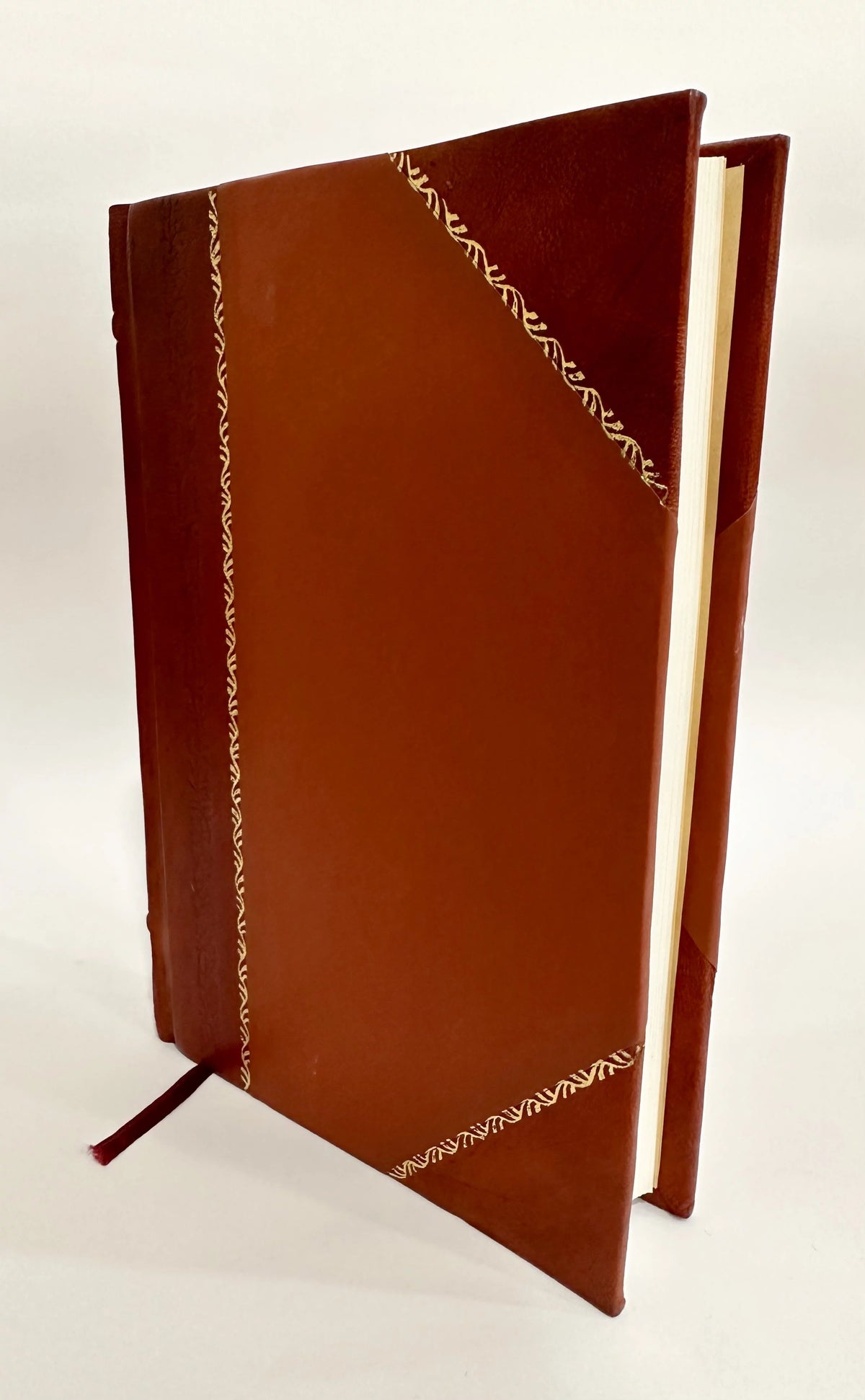 Leather Bound Book Y6254