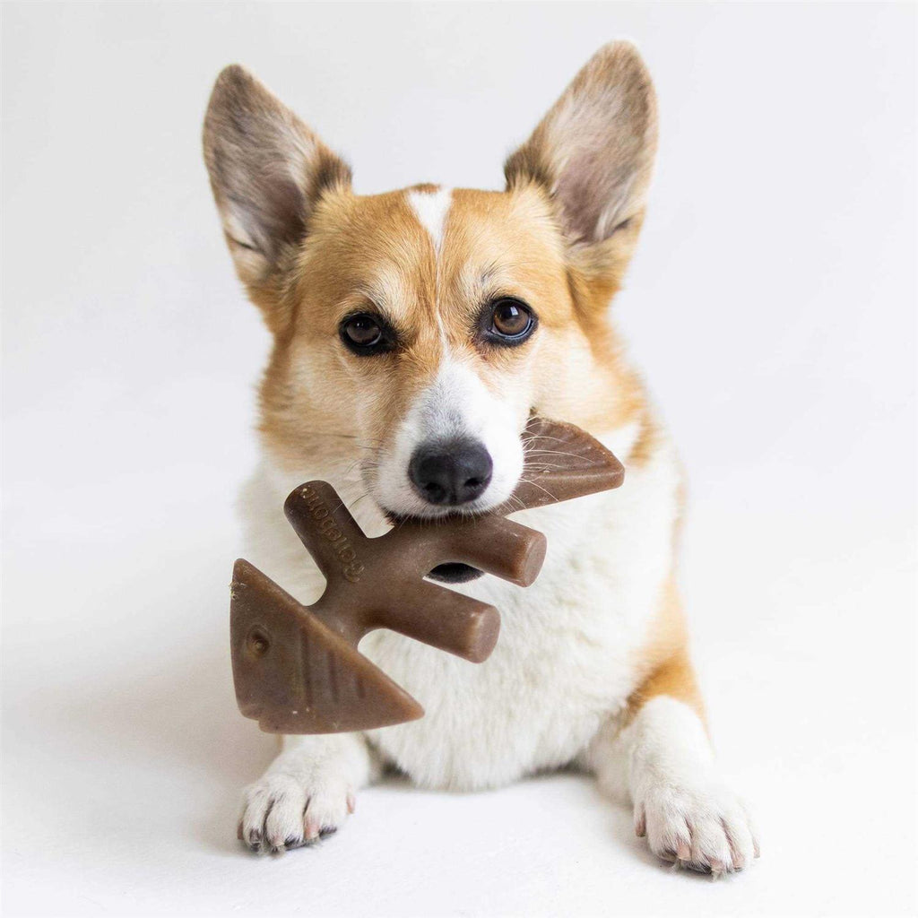 Fishbone Dog Chew Q853
