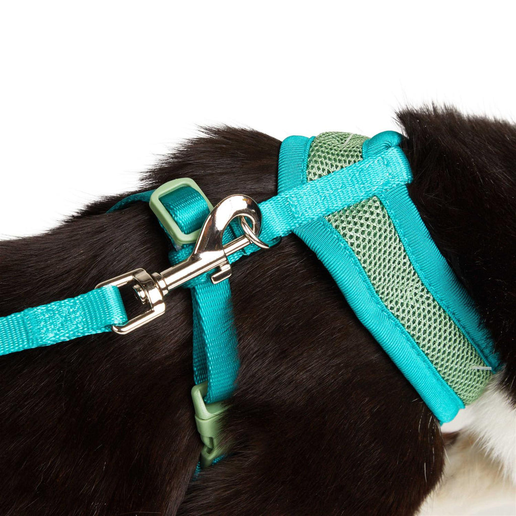 Green Cat Harness J585