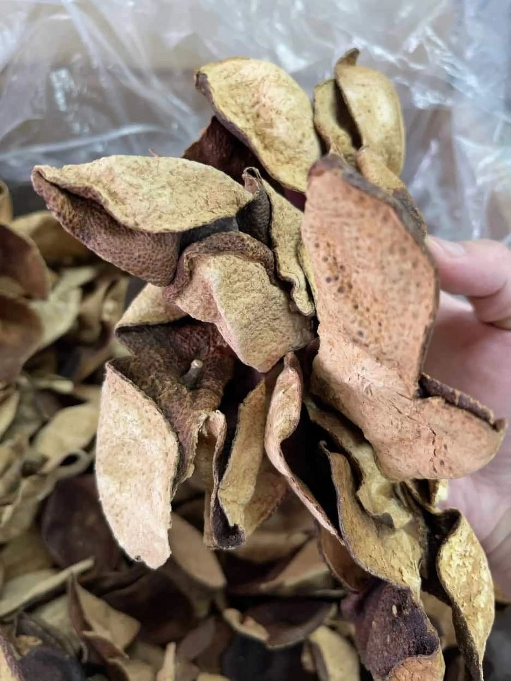 Dried Aged Orange Citrus Peel 200G O8817