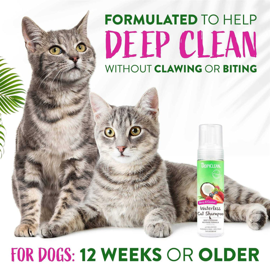 Waterless Deep Cleaning Cat Shampoo W1053