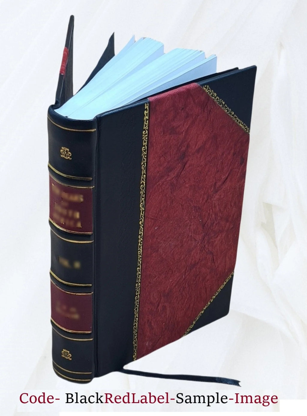 Proceedings of the American Electric Railway Accountants' Association Volume v.29 1925 Leather Bound H451874