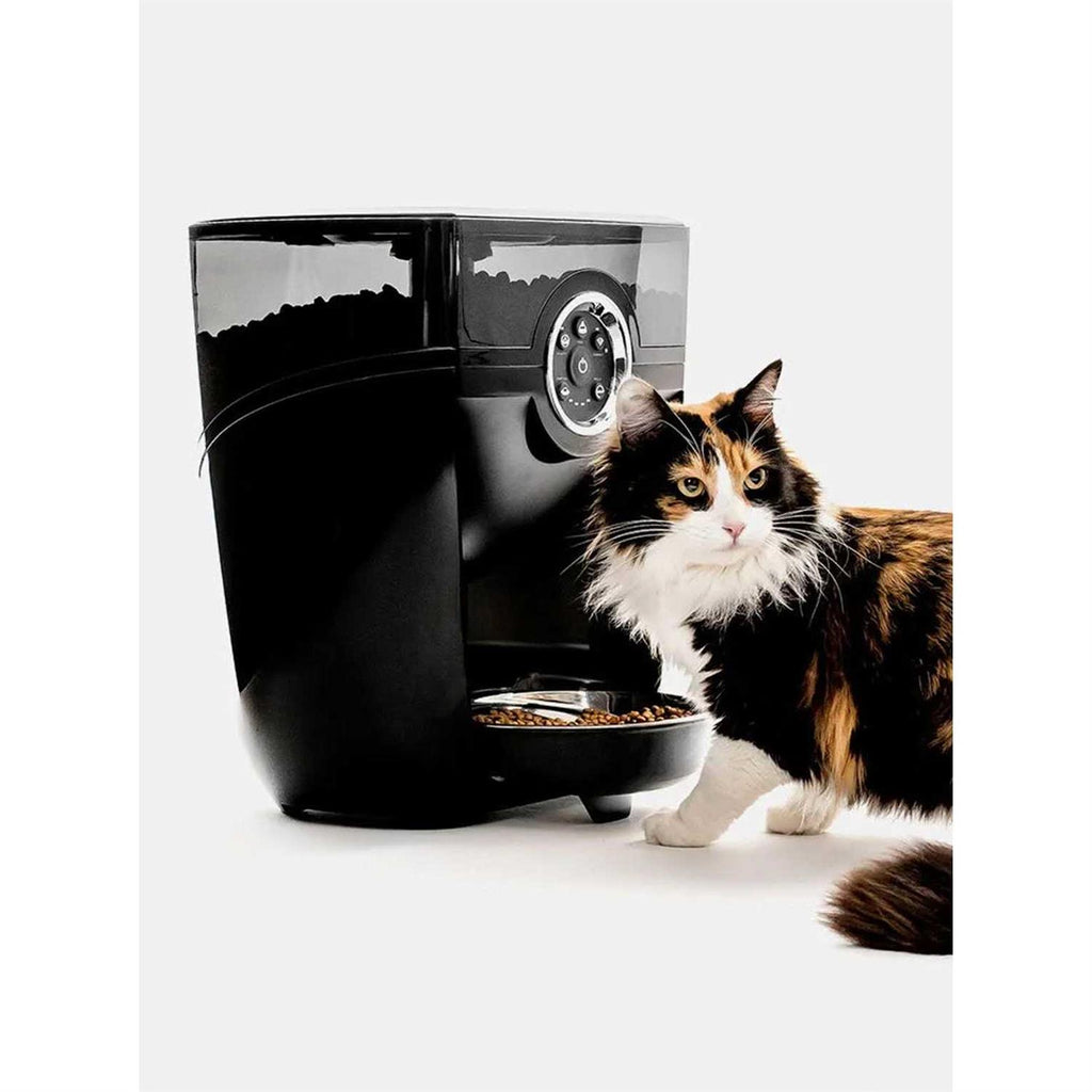 Wi-fi Cat & Dog Auto-Feeder with Hopper Y54358