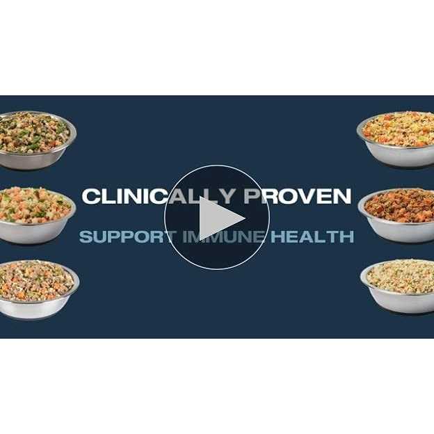 Shelf-Stable Fresh Dog Food P742